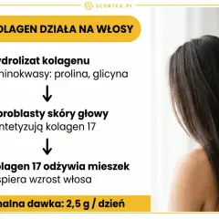 Jak kolagen działa na włosy: hydrolizat kolagenu odżywia mieszek włosowy, wspierając wzrost. Minimalna dawka 2,5 g/dzień.