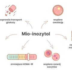 Mio-inozytol wspiera owulację, reguluje cykl miesiączkowy, poprawia transport glukozy, lipidogram, zmniejsza HOMA-IR i wspiera rozwój oocytów.
