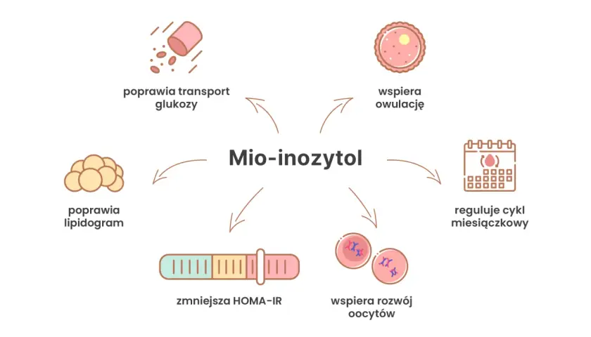 Mio-inozytol wspiera owulację, reguluje cykl miesiączkowy, poprawia transport glukozy, lipidogram, zmniejsza HOMA-IR i wspiera rozwój oocytów.
